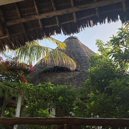 Pasa Lodge Zanzibar Nungwi Eksteriør billede