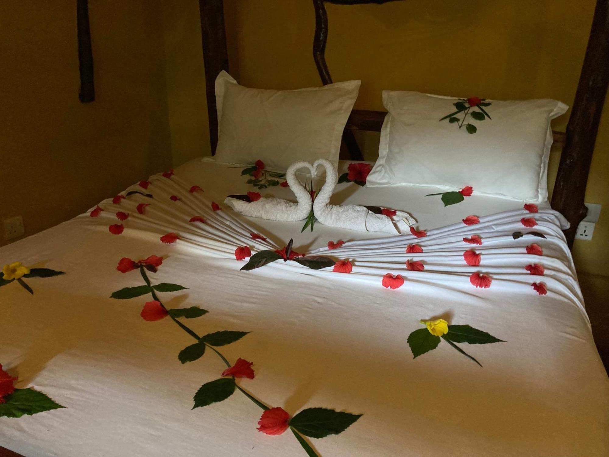 Pasa Lodge Zanzibar Nungwi Værelse billede