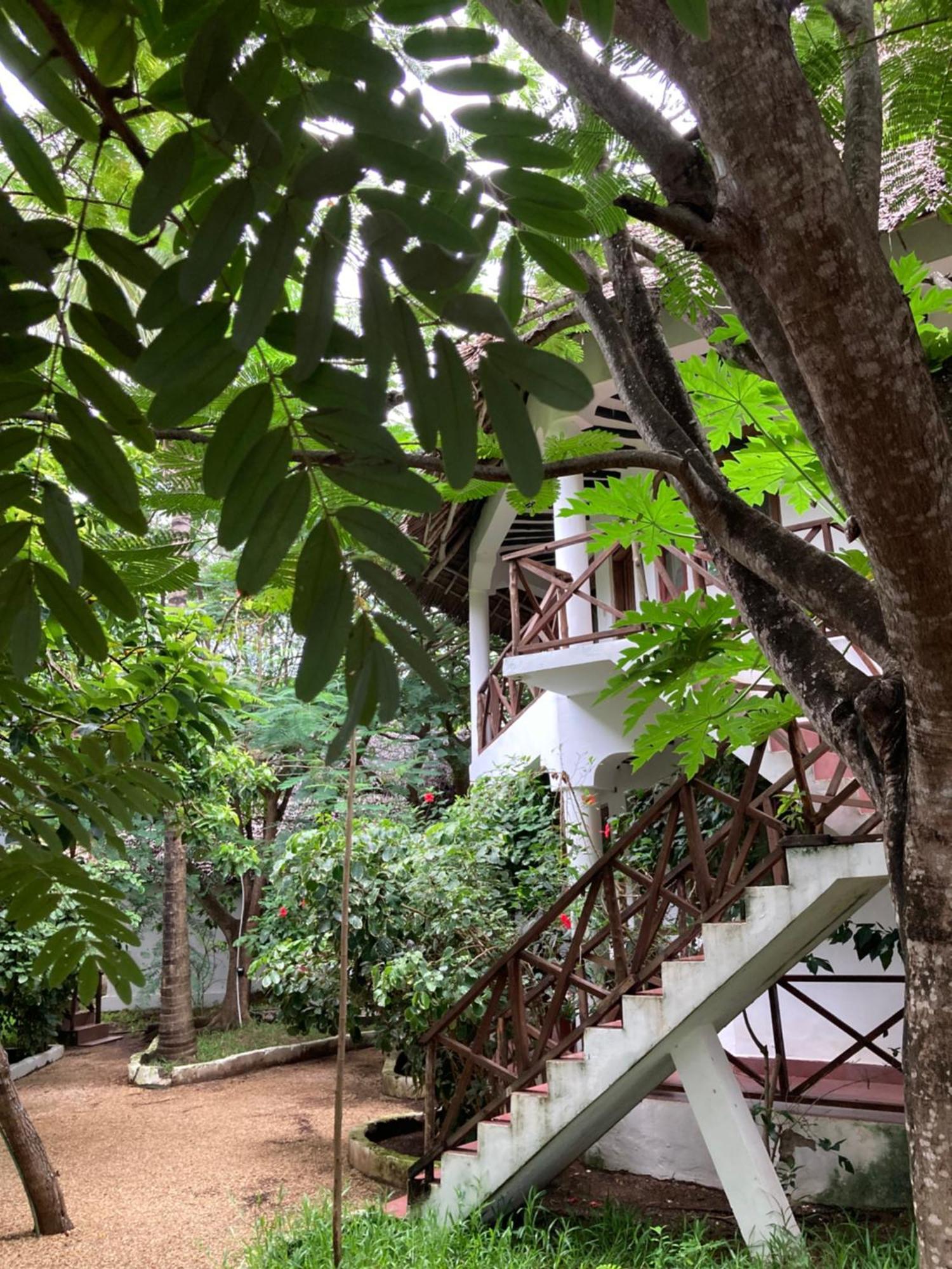 Pasa Lodge Zanzibar Nungwi Eksteriør billede